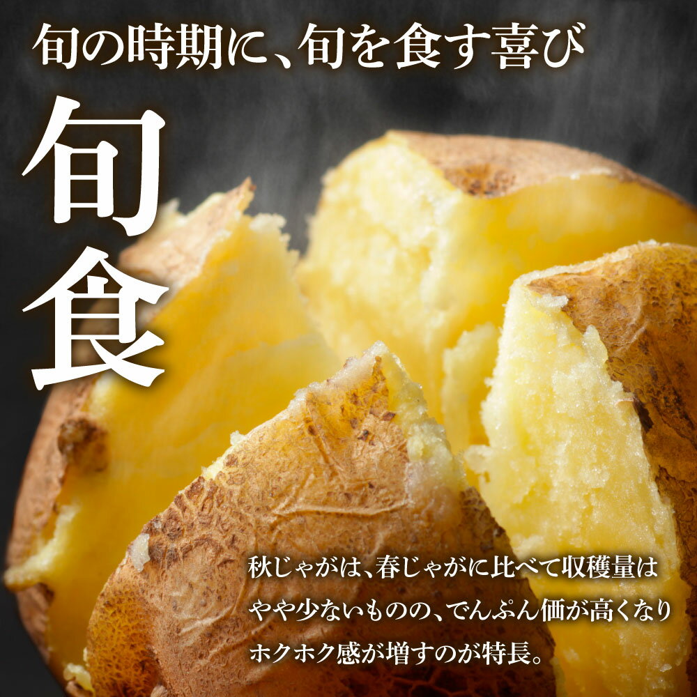 【ふるさと納税】《令和7年11月中旬から順次発送》 〜四国一小さなまちのじゃがいも〜　高知県田野町の大野台地で採れた令和7年産『秋じゃが』 5kg！　高知県 田野町 大野台地 秋じゃが じゃがいも デジマ イモ ジャガイモ 芋 いも ポテト 秋 旬 野菜 サムネイル2