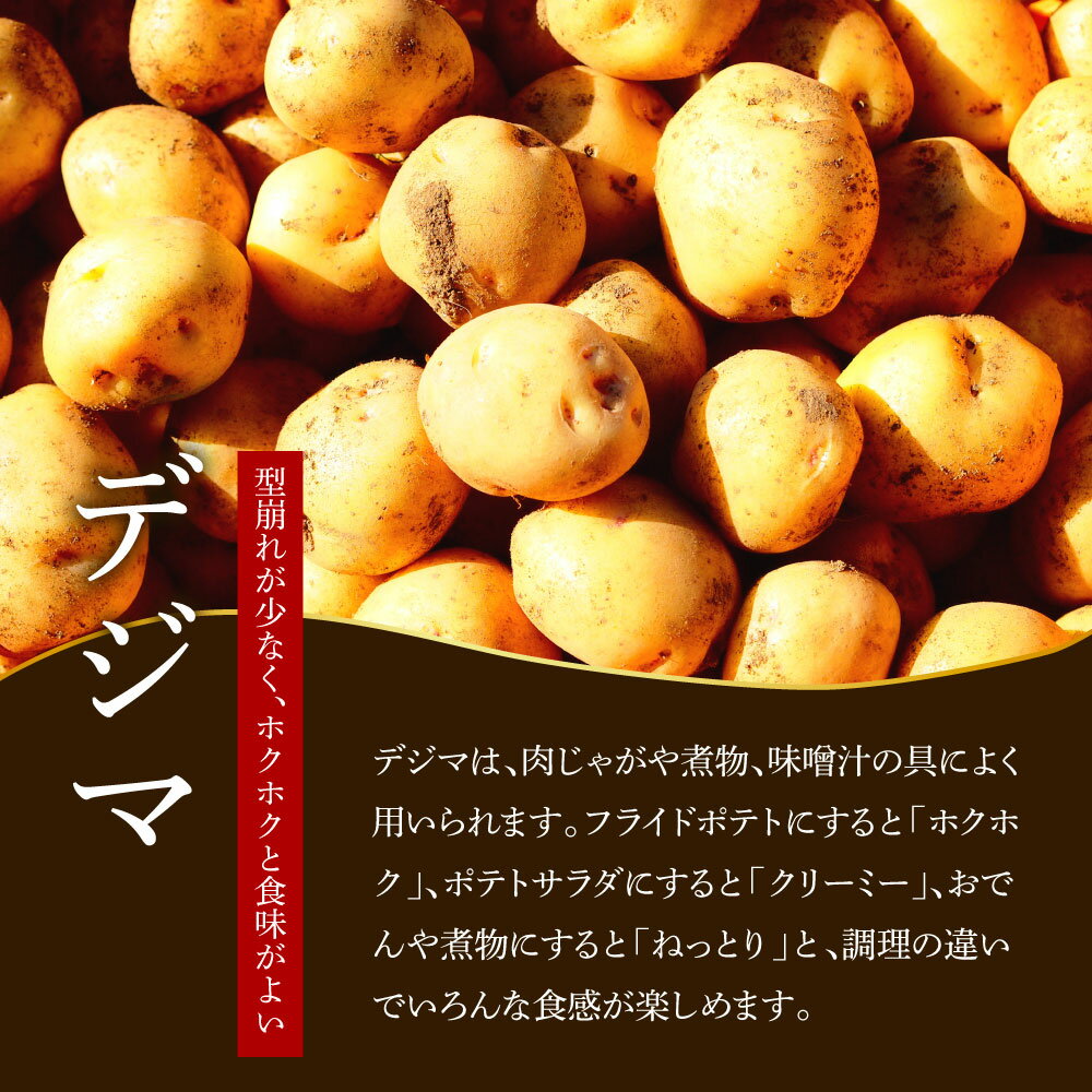 【ふるさと納税】《令和7年11月中旬から順次発送》 〜四国一小さなまちのじゃがいも〜　高知県田野町の大野台地で採れた令和7年産『秋じゃが』 5kg！　高知県 田野町 大野台地 秋じゃが じゃがいも デジマ イモ ジャガイモ 芋 いも ポテト 秋 旬 野菜 サムネイル3
