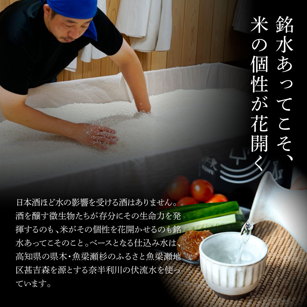 【ふるさと納税】日本酒 美丈夫 10000円台 田野ラベル 一升瓶 2本セット 純米酒＆純米吟醸2種 1800ml×各1本 セット 一升 一升瓶 酒 お酒 地酒 純米吟醸 純米酒 おさけ 冷酒 15度 びじょうふ ラベル 限定 高知県 田野町 取り寄せ 送料無料 ふるさとのうぜい 故郷納税 18000円 サムネイル3