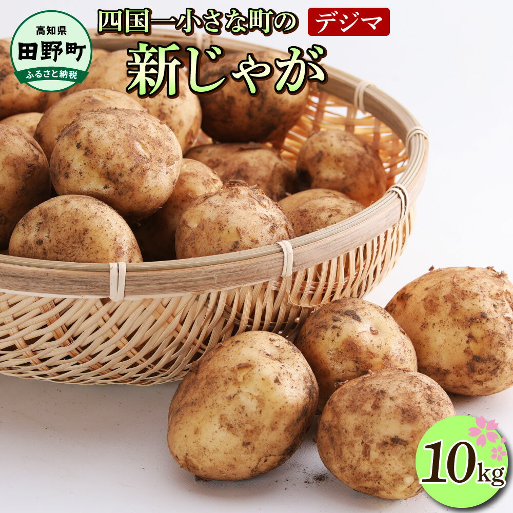 ★先行予約 2026年5月発送開始★大野台地で採れた 令和8年産 新じゃがいも『デジマ』10kg 10キロ ふるさと納税 デジマ じゃがいも イモ 新じゃが ジャガイモ 芋 いも ポテト 野菜 おいしい ふっくら 旬 国産 お取り寄せ 常温配送 高知県 故郷納税 17000円