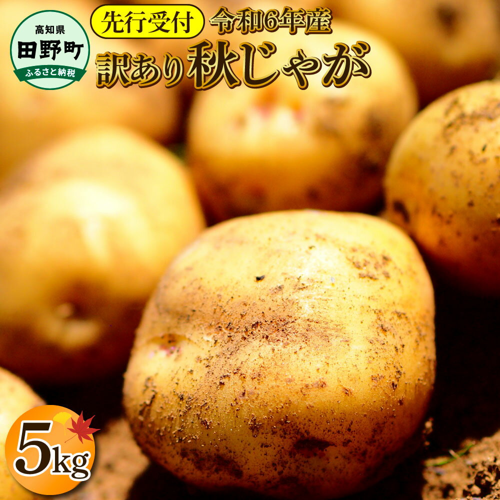 《令和7年11月中旬から順次発送》 〜四国一小さなまちのじゃがいも〜　高知県田野町の大野台地で採れた令和7年産『秋じゃが 』5kg 訳アリ品！　大野台地 秋じゃが じゃがいも デジマ イモ ジャガイモ 芋 いも 訳あり 訳 ポテト 旬 野菜