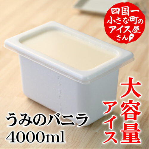 大容量 アイス4000ml うみのバニラ アイス ミルク 天日塩 4l 4000ml 業務用 4リットル 大容量 スイーツ デザート おすすめ 美味しい お取り寄せ 冷凍 家庭用 田野屋塩二郎 故郷納税 返礼品 高知 田野町 塩アイス 松崎冷菓 田野屋塩二郎の塩 大量 ご当地