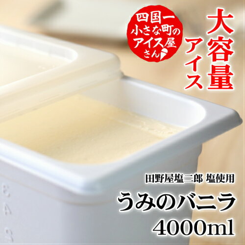 【ふるさと納税】大容量 アイス4000ml うみのバニラ アイス ミルク 天日塩 4l 4000ml 業務用 4リットル 大容量 スイーツ デザート おすすめ 美味しい お取り寄せ 冷凍 家庭用 田野屋塩二郎 故郷納税 返礼品 高知 田野町 塩アイス 松崎冷菓 田野屋塩二郎の塩 大量 ご当地 - 画像2