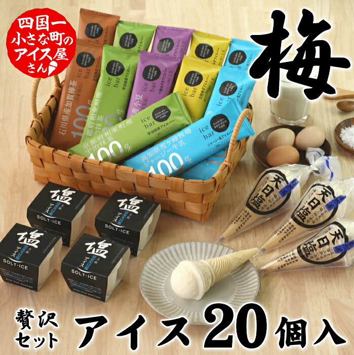 松崎冷菓の贅沢アイスセット 梅 20個 アイス アイスクリーム 塩アイス 天日塩アイス アイスバー セット 詰め合わせ 冷凍 配送 おやつ デザート 高知 ふるさとのうぜい 故郷納税 15000円 返礼品 お中元 大量 抹茶 あずき 柚子 ギフト 無添加 田野屋塩二郎