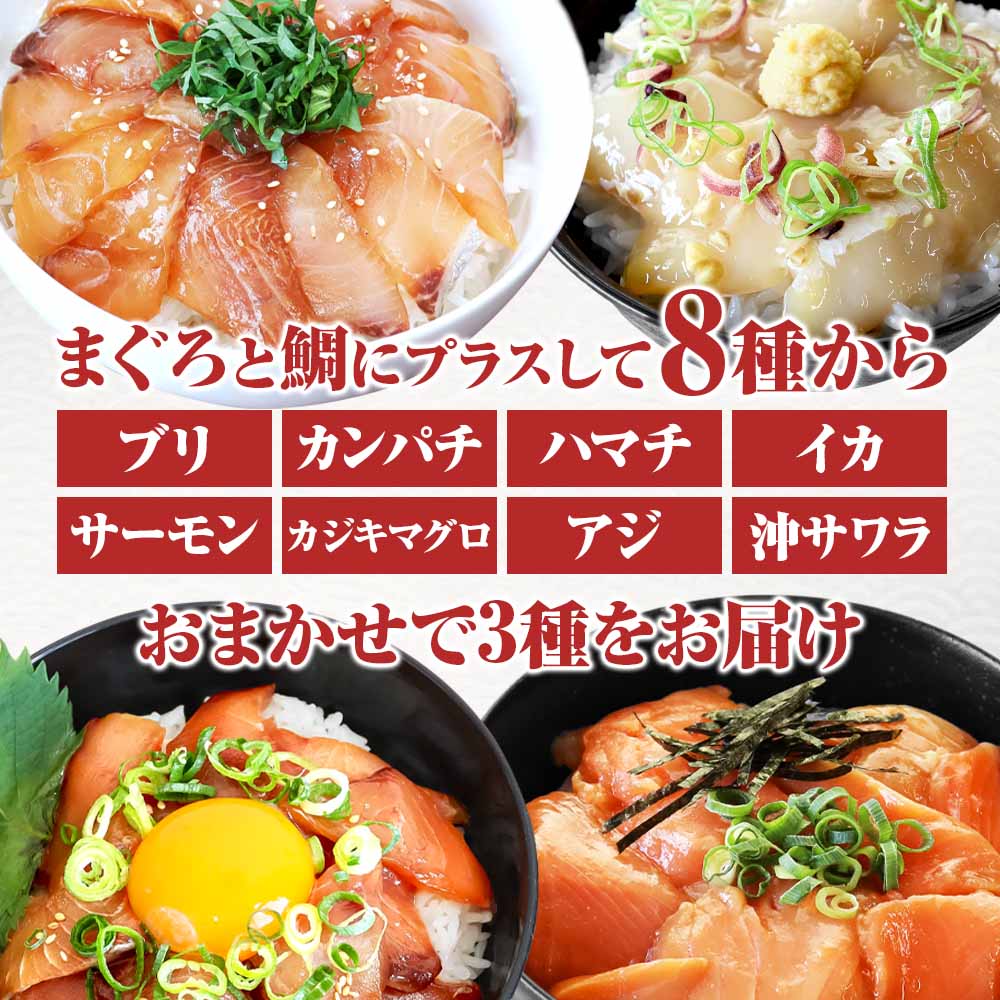 【ふるさと納税】訳あり 漬け丼 5種 80g×5P セット 6000円 10000円 おまかせセット マグロ 鯛 おまかせ3種 鮪 鯛 詰め合わせ 海鮮丼 海鮮丼の具 漬け どんぶり 丼 漬けマグロ 海鮮 漬け魚 個食 個包装 小分け 海鮮丼セット 冷凍 高知県 食べ比べ 保存食 一人暮らし 魚 サムネイル2