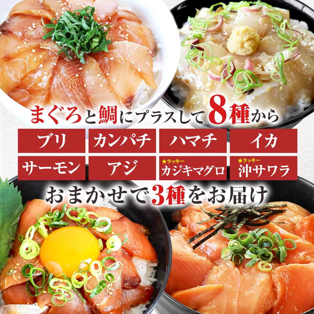 【ふるさと納税】訳あり 漬け丼 5種 80g×5P セット 6000円 10000円 おまかせセット マグロ 鯛 おまかせ3種 鮪 鯛 詰め合わせ 海鮮丼 海鮮丼の具 漬け どんぶり 丼 漬けマグロ 海鮮 漬け魚 個食 個包装 小分け 海鮮丼セット 冷凍 高知県 食べ比べ 保存食 一人暮らし 魚 - 画像2