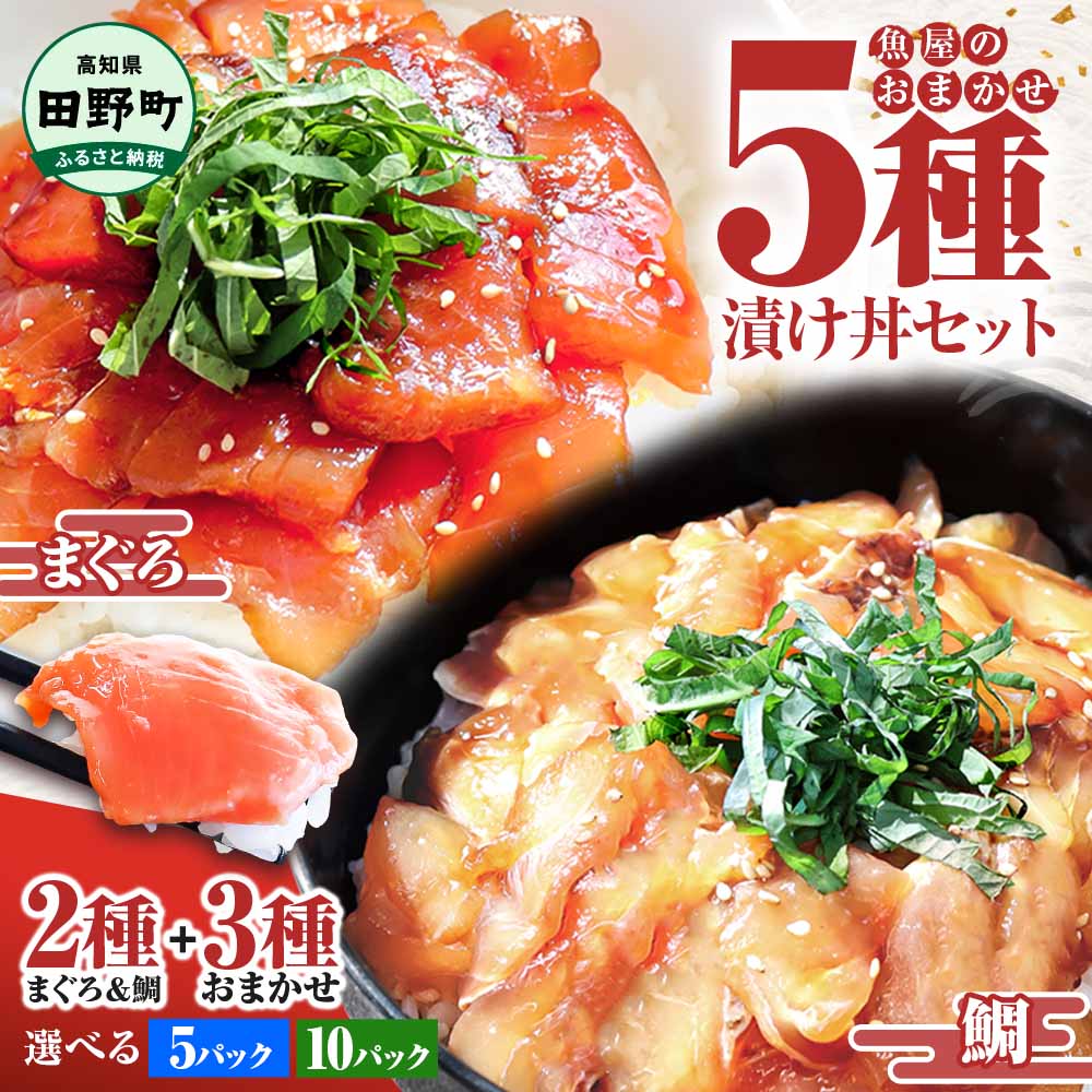 訳あり 漬け丼 5種 80g×5P セット 6000円 10000円 おまかせセット マグロ 鯛 おまかせ3種 鮪 鯛 詰め合わせ 海鮮丼 海鮮丼の具 漬け どんぶり 丼 漬けマグロ 海鮮 漬け魚 個食 個包装 小分け 海鮮丼セット 冷凍 高知県 食べ比べ 保存食 一人暮らし 魚