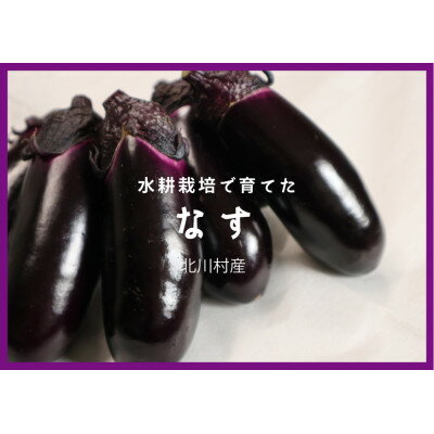 北川村の茄子 2kg【1701517】