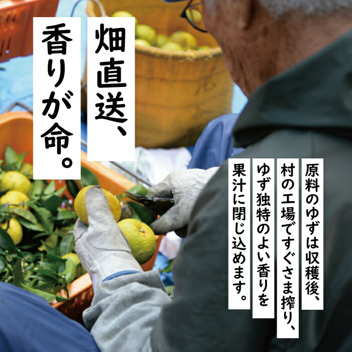 【ふるさと納税】 調味料 ゆず 寿司酢 馬路ずしの素 スティックタイプ 5000円 調味酢 すしの素 酢飯 お弁当 個包装 小分けドレッシング 寿司の素 ゆず 柚子 有機 オーガニック お中元 お歳暮 母の日 父の日 産地直送 送料無料 サムネイル3