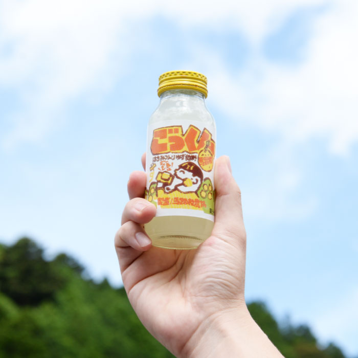 【ふるさと納税】 ジュース 調味料 ごっくん村セット ゆず 柚子 フルーツジュース ゆずジュース ゆずポン酢 ポン酢 醤油 有機 オーガニック お中元 お歳暮 母の日 父の日 ギフト 贈答用 のし 熨斗 産地直送 送料無料 高知県 馬路村 [510] サムネイル3