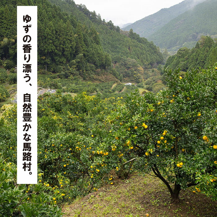 【ふるさと納税】 調味料 ゆず「少しこだわりセット3」 ゆず 柚子 ギフト お歳暮 お中元 ゆずギフト お歳暮 お中元 母の日 父の日 贈答用 のし 熨斗 産地直送 送料無料 高知県 馬路村 [594] サムネイル2