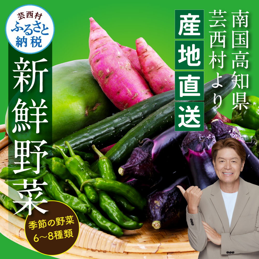 【先行予約】【11月発送～受付中】野菜 朝採れ 野菜詰め合わせ 5000円台 朝獲れ セット 芸西村の新鮮野菜6～8種類 野菜 詰め合わせ お試し 新鮮 食べ比べ 特産品 ピーマン 環境 ナス 旬 支援品 故郷納税 野菜セット 産地直送（クラウドファンディング対象）