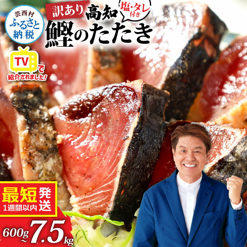 訳あり かつおのたたき 発送時期選べる 最短1週間以内発送 塩 タレ付き 600g～ 藁焼き 魚 規格外 6000円 10000円 不揃い 傷 人気 鰹のたたき かつおたたき 早い 高知 冷凍 食品 海鮮 お試し 刺身 魚介 小分け 真空パック（クラウドファンディング対象）