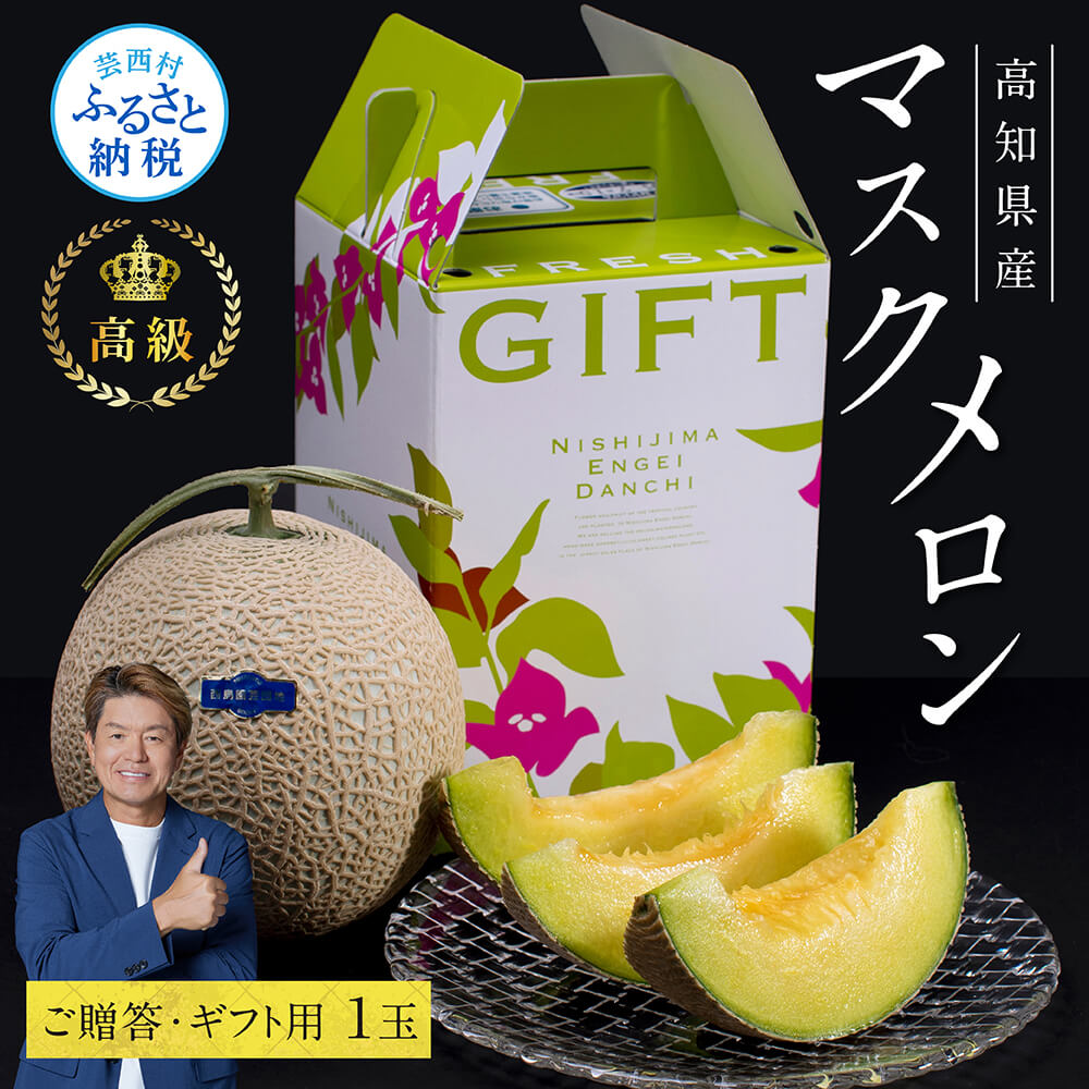 コロナ 緊急支援 高知県産 高級マスクメロン(ご贈答・ギフト用)1玉入 故郷納税【発送期間：4月〜12月(9カ月)】【1月〜3月は気候温度不安定の為出荷不可となります】〈南国市共通返礼品〉食べ物 プレゼント 果物 お中元 御中元 のし 熨斗
