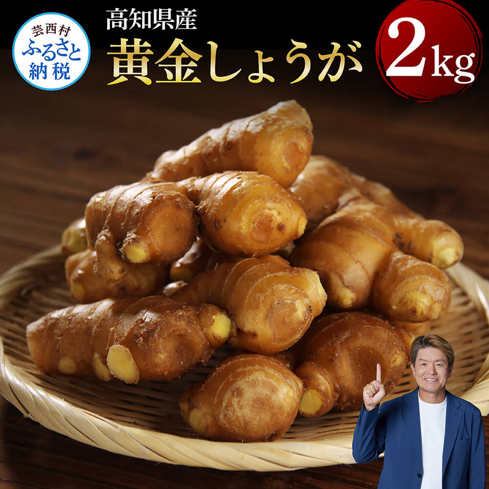 高知県産黄金しょうが2kg しょうが ショウガ 生姜 坂田信夫商店 黄金しょうが 高知 国産 生姜 生姜焼き しょうが湯 ふるさとのうぜい 故郷納税 返礼品 高知県産 12000円