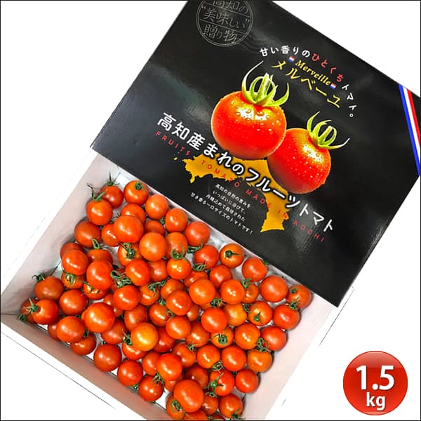 【ふるさと納税】 高知産フルーツトマト「メルベーユ」 約1.5kg 糖度9度以上！ 数量限定 期間限定 故郷納税 高糖度 野菜 とまと 甘さ ミニトマト 甘い フルティカ 1万円 ギフト ランキング 人気 ふるさと納税制度 おすすめ - 画像2