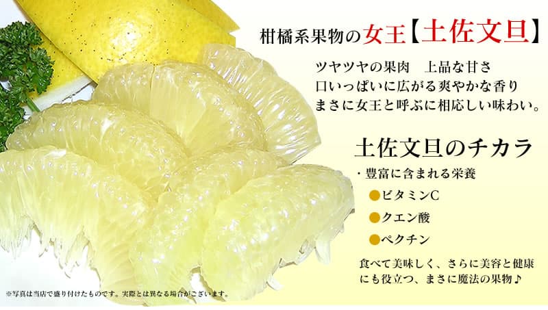 【ふるさと納税】先行予約 訳あり 土佐文旦 高知県産 3kg 5kg 10kg 20kg 6,000円から 傷・シミ ありの訳アリ品 家庭用 サイズおまかせ 大玉 小玉 柑橘 みかん 産地直送 フルーツ 果物 ぶんたん ブンタン 詰め合わせ 故郷納税 2026年配送 令和8年2月以降順次発送【s-kensyo】 サムネイル3