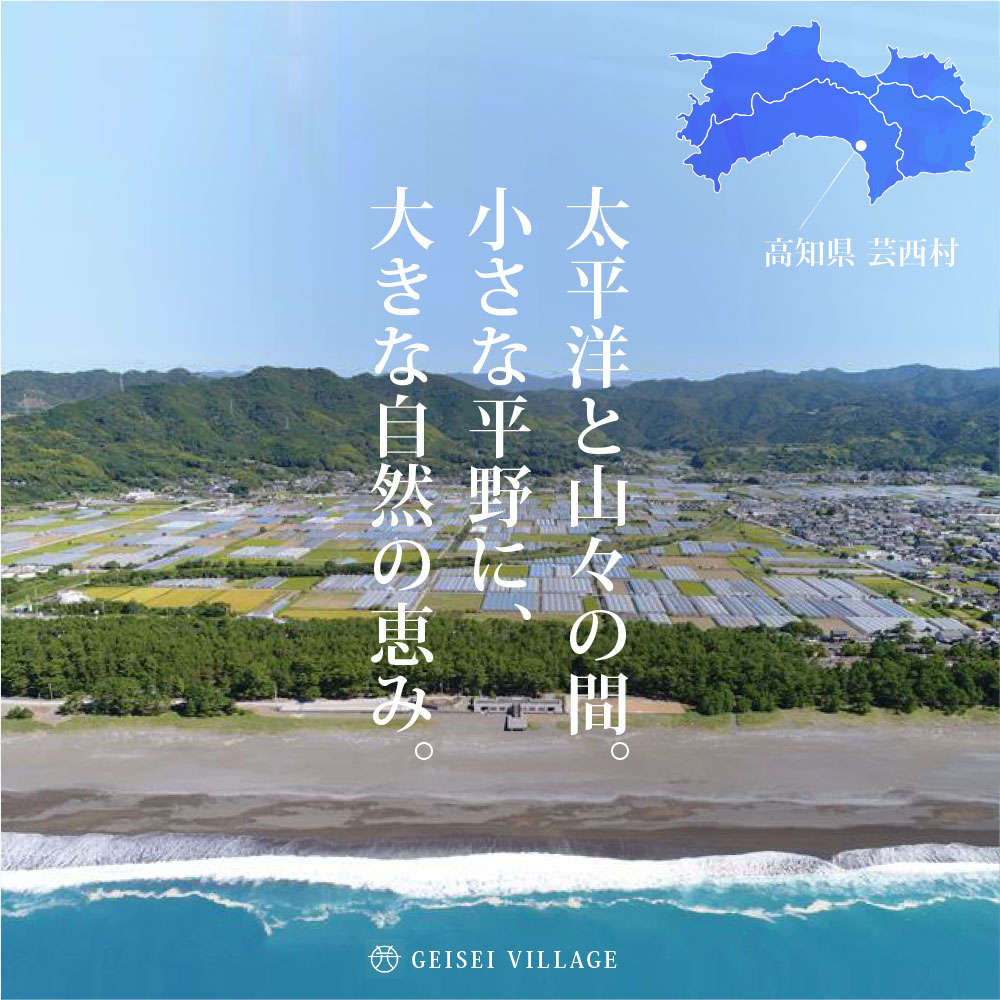 【ふるさと納税】先行予約 新米 令和7年産 芸西米（げいせいまい） "にこまる" 選べる内容量 5kg/10kg/15kg 令和7年産 高知の温暖な気候で育った芸西米令和7年産 米 白米 お米 美味しい おこめ こめ もっちり 柔らかい 国産 高知県産 故郷納税 10000円 備蓄米でない 銘柄米 サムネイル3