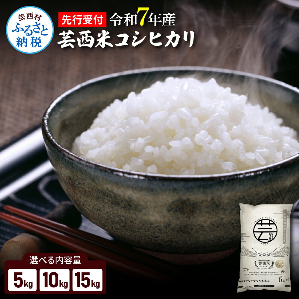 コシヒカリ 新米 5kg 10kg 15kg お米 令和7年産 芸西米（げいせいまい）10000円台 入金から1ヵ月以内発送 選べる内容量 こしひかり 白米 美味しい おこめ 国産 高知県産 家庭 ご飯 銘柄 故郷納税 備蓄米でない 銘柄米 10月発送 11月発送 選べる発送月