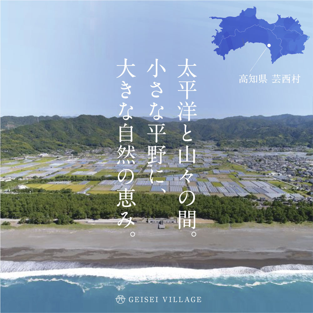 【ふるさと納税】【先行予約】【11月発送～受付中】野菜 朝採れ 野菜詰め合わせ 5000円台 朝獲れ セット 芸西村の新鮮野菜6～8種類 野菜 詰め合わせ お試し 新鮮 食べ比べ 特産品 ピーマン 環境 ナス 旬 支援品 故郷納税 野菜セット 産地直送（クラウドファンディング対象） サムネイル2