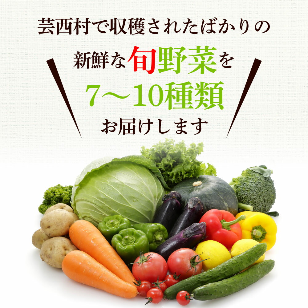 【ふるさと納税】新鮮野菜の詰合せ 7～10種類 ピーマン 茄子 なす ナス おまかせ 特産品 野菜 やさい 野菜 セット おかず 健康 新鮮 詰め合わせ お楽しみ セット お取り寄せ 通販 冷蔵 配送 国産 ふるさとのうぜい 旬 故郷納税 高知県 返礼品 9000円 産地直送 - 画像2