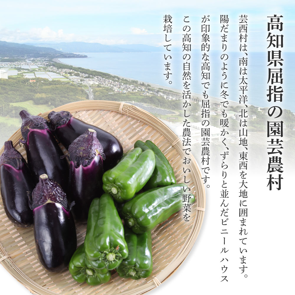 【ふるさと納税】新鮮野菜の詰合せ 7～10種類 ピーマン 茄子 なす ナス おまかせ 特産品 野菜 やさい 野菜 セット おかず 健康 新鮮 詰め合わせ お楽しみ セット お取り寄せ 通販 冷蔵 配送 国産 ふるさとのうぜい 旬 故郷納税 高知県 返礼品 9000円 産地直送 - 画像3