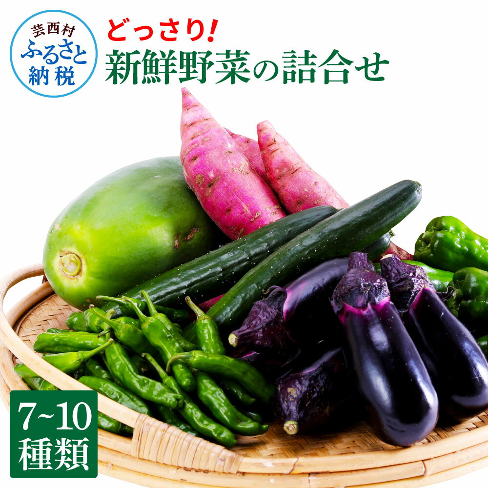 新鮮野菜の詰合せ 7～10種類 ピーマン 茄子 なす ナス おまかせ 特産品 野菜 やさい 野菜 セット おかず 健康 新鮮 詰め合わせ お楽しみ セット お取り寄せ 通販 冷蔵 配送 国産 ふるさとのうぜい 旬 故郷納税 高知県 返礼品 9000円 産地直送