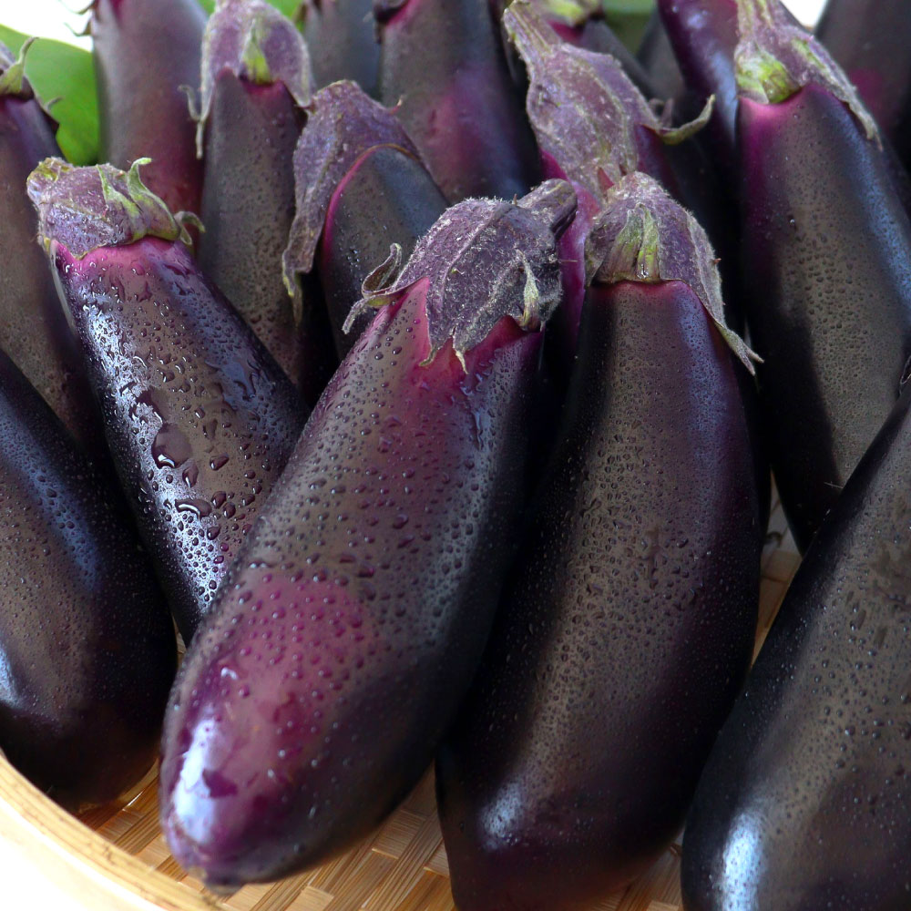 【ふるさと納税】茄子（1本約70g）約20本入り 高知県産 芸西村 ナス なす 野菜 新鮮 お取り寄せ 美味しい 煮浸し 味噌汁 麻婆茄子 夏野菜 秋野菜 料理 ふるさとのうぜい 故郷納税 7000円 返礼品 高知県 高知 ランキング 人気 故郷納税 ランキンング - 画像2