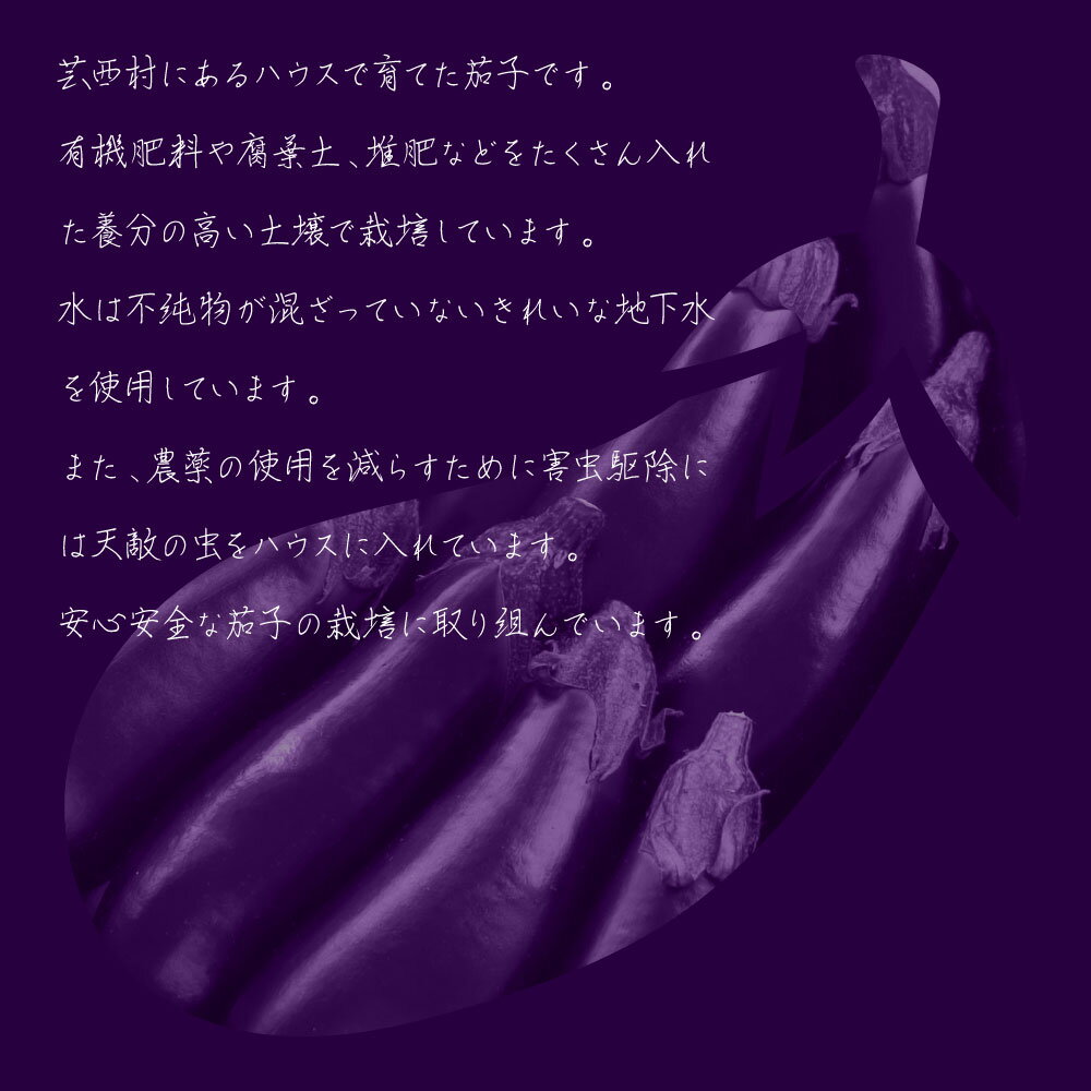 【ふるさと納税】茄子（1本約70g）約20本入り 高知県産 芸西村 ナス なす 野菜 新鮮 お取り寄せ 美味しい 煮浸し 味噌汁 麻婆茄子 夏野菜 秋野菜 料理 ふるさとのうぜい 故郷納税 7000円 返礼品 高知県 高知 ランキング 人気 故郷納税 ランキンング - 画像3