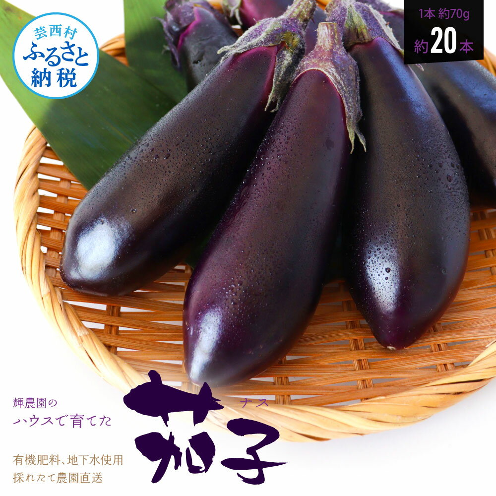 茄子（1本約70g）約20本入り 高知県産 芸西村 ナス なす 野菜 新鮮 お取り寄せ 美味しい 煮浸し 味噌汁 麻婆茄子 夏野菜 秋野菜 料理 ふるさとのうぜい 故郷納税 7000円 返礼品 高知県 高知 ランキング 人気 故郷納税 ランキンング