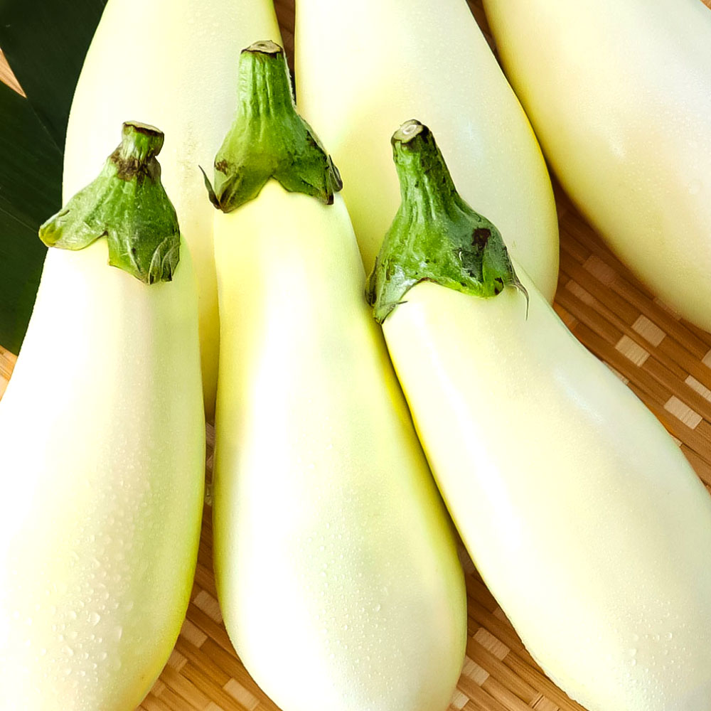 【ふるさと納税】白ナス6本 なす 茄子 1本180g以上 野菜 新鮮 美味しい グラタン シチュー ラタトゥイユ 洋食 和食 料理 お取り寄せ ふるさとのうぜい 故郷納税 6000円 返礼品 高知県 高知 ランキング 人気 故郷納税 ランキンング ふるさと納税制度 おすすめ - 画像2