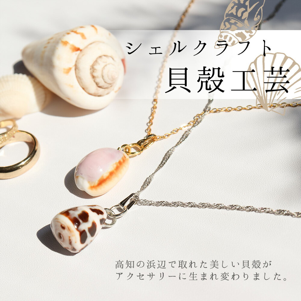 【ふるさと納税】 ＜高知の浜辺でとれた美しい貝殻のネックレス＞ 2個入り シェルクラフト 貝殻工芸 高知県 返礼品 ペンダント かわいい おしゃれ 女性 ギフト プレゼント 海 夏 貝殻 シェル モチーフ デザイン アクセサリー 天然 サムネイル2