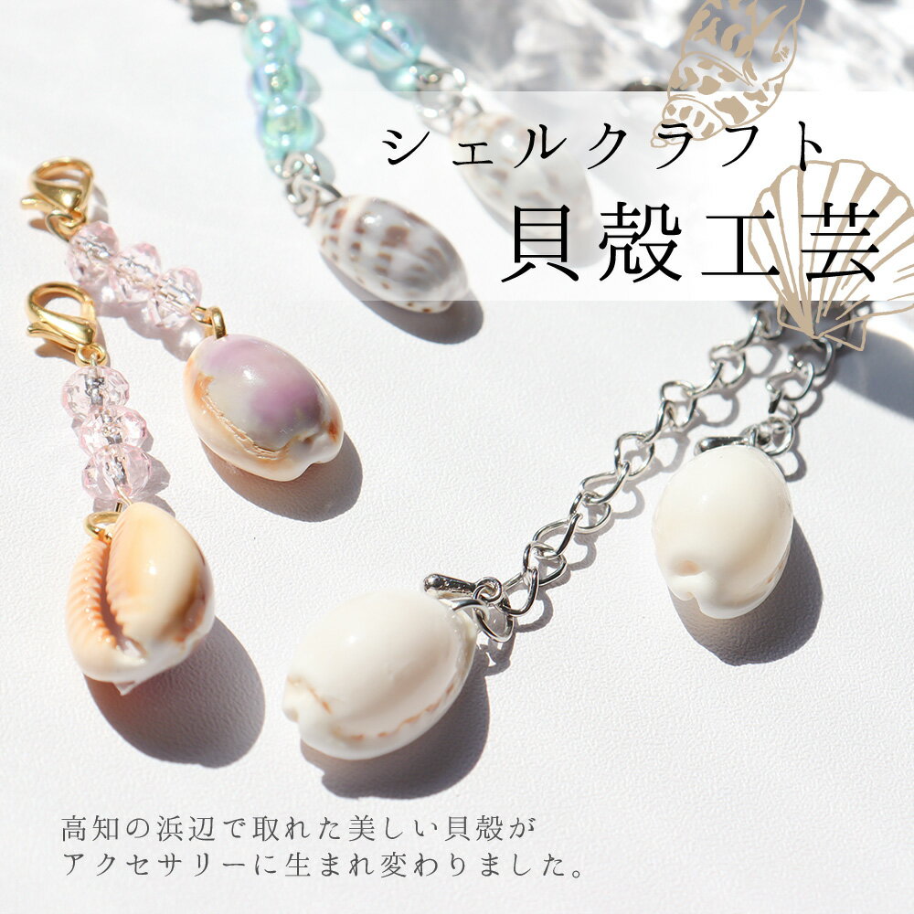 【ふるさと納税】 コロナ 緊急支援 ＜高知の浜辺でとれた美しい貝殻のマスクチャーム＞ 2個入り シェルクラフト 貝殻工芸 高知県 返礼品 マスク チャーム かわいい おしゃれ 女性 ギフト プレゼント 海 夏 貝殻 シェル モチーフ デザイン アクセサリー 天然 小物 サムネイル2
