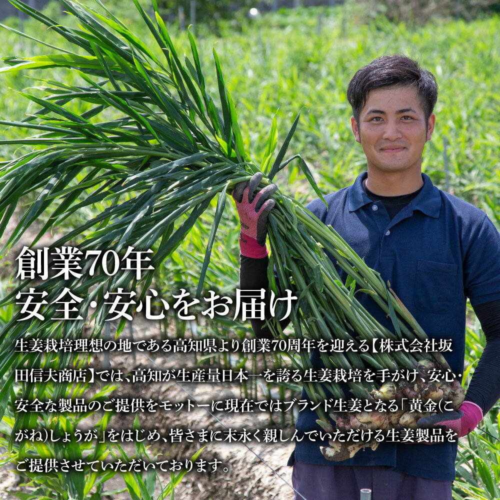 【ふるさと納税】生姜ぽん酢360ml×5本 高知県産の柚子をふんだんに使ったゆずぽん酢に爽やかな辛味の黄金しょうがをたっぷり加えた特別な一品 ポン酢 ぽん酢しょうゆ 生姜 黄金しょうが 調味料 ドレッシング 鍋 サラダ ふるさとのうぜい 故郷納税 7000円 返礼品 高知県産 サムネイル3