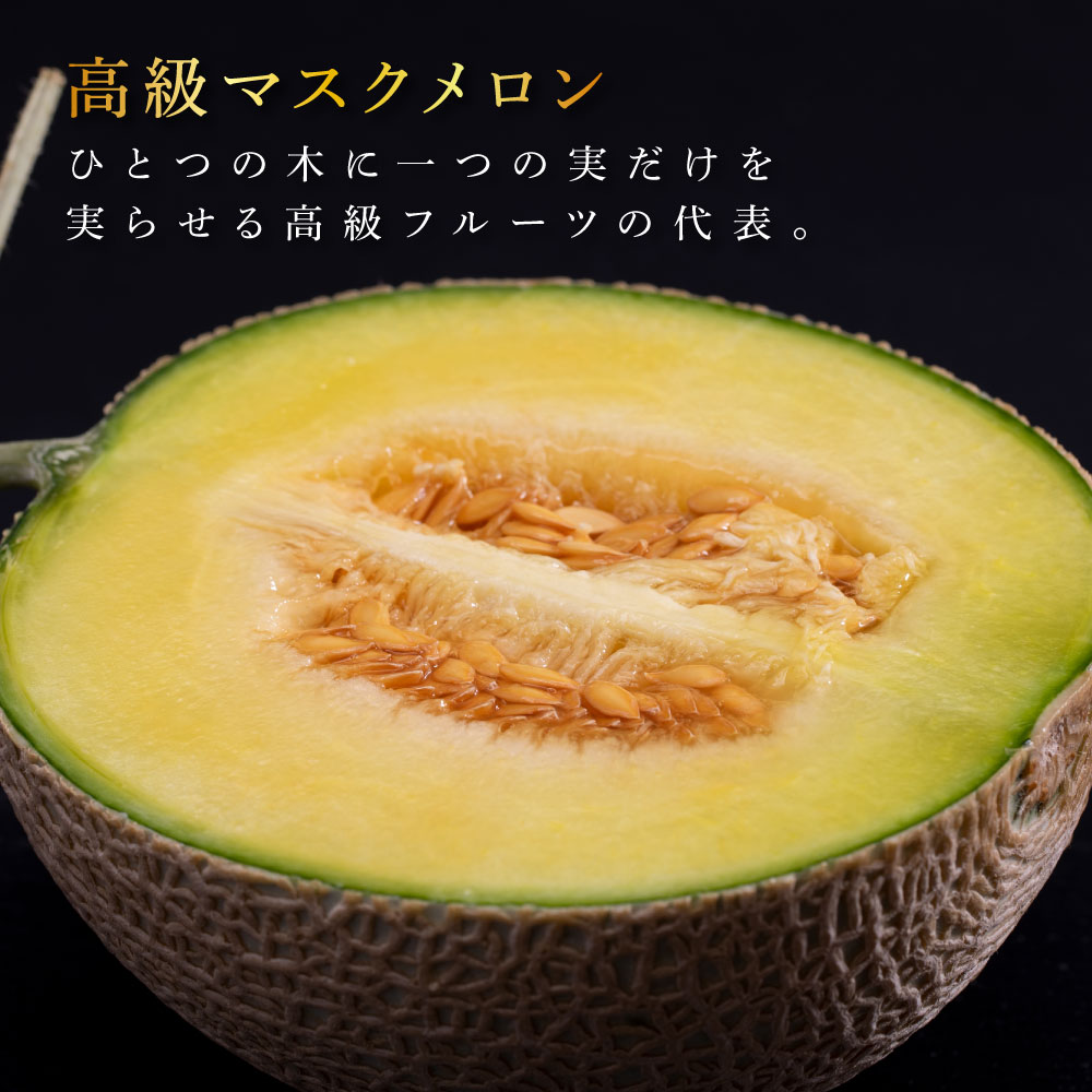 【ふるさと納税】 コロナ 緊急支援 《3ヶ月定期便》故郷納税 高知県産 高級マスクメロン（ご贈答・ギフト用）1玉入 【発送期間：4月〜12月（9カ月）】【1月〜3月は気候温度不安定の為出荷不可となります。】〈南国市共通返礼品〉 サムネイル2