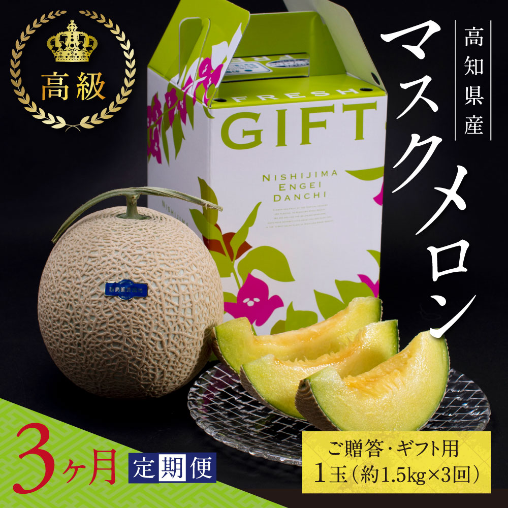 コロナ 緊急支援 《3ヶ月定期便》故郷納税 高知県産 高級マスクメロン（ご贈答・ギフト用）1玉入 【発送期間：4月〜12月（9カ月）】【1月〜3月は気候温度不安定の為出荷不可となります。】〈南国市共通返礼品〉