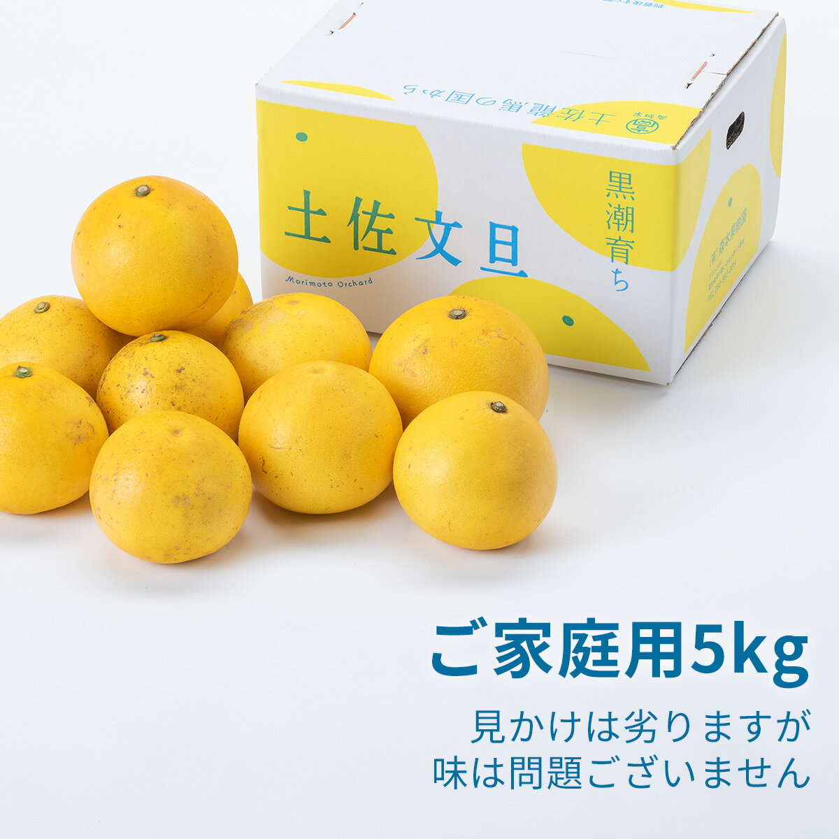 【ふるさと納税】土佐文旦家庭用5kg（森本果樹園）柑橘 フルーツ 高知産 産地直送 特産品 産地直送 送料無料 数量限定 美味しい おすすめ 3月 サムネイル2