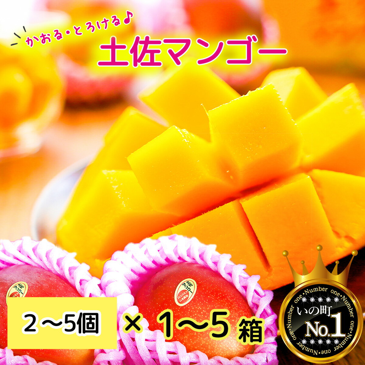 かおる・とろける！土佐マンゴー(2〜5個)×1箱/2箱/3箱/4箱/5箱 完熟 予約受付 フルーツ 特産品 産地直送 送料無料 期間限定 数量限定 美味しい おすすめ 5月 6月 7月 8月