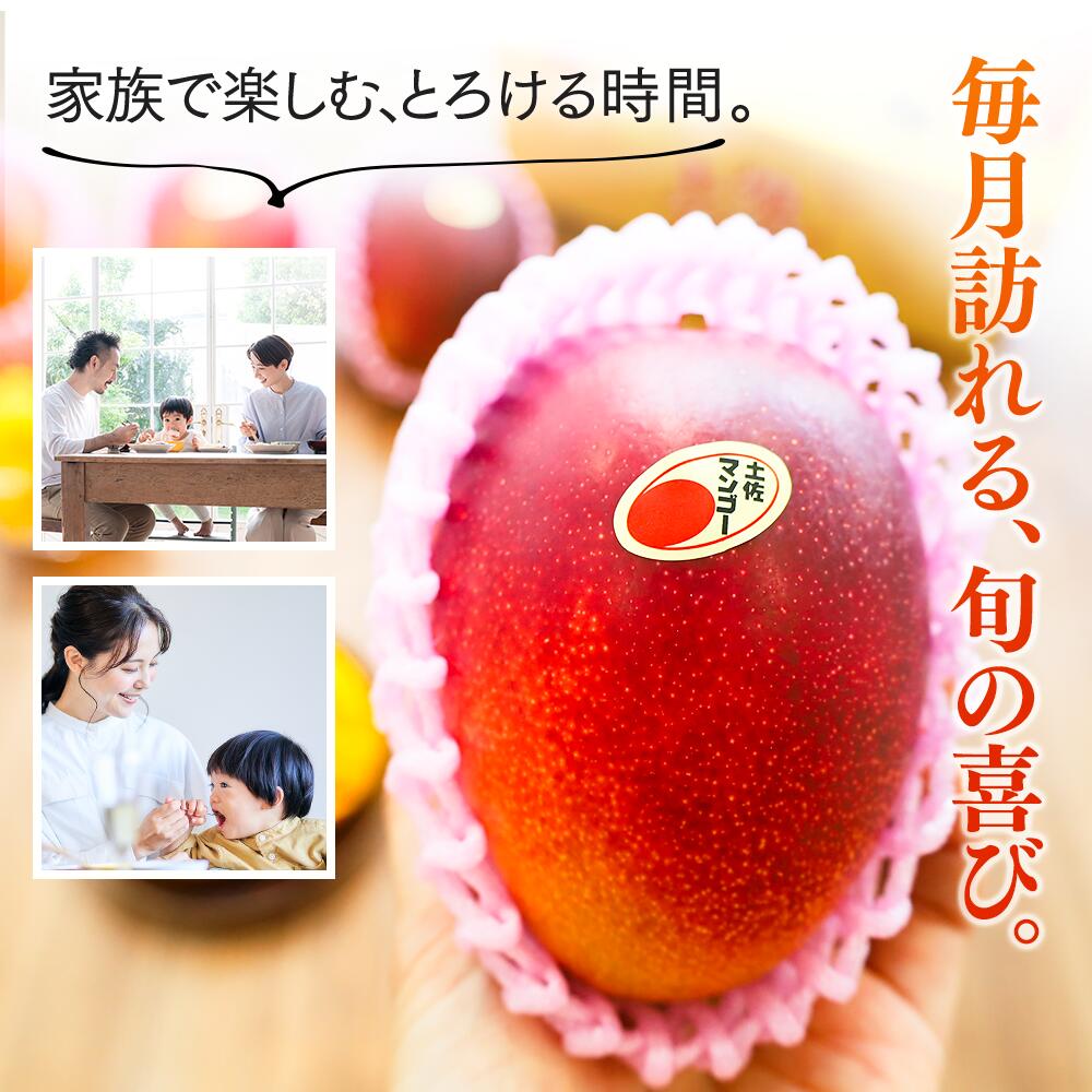 【ふるさと納税】かおる・とろける！土佐マンゴー(2〜5個)×1箱/2箱/3箱/4箱/5箱 完熟 予約受付 フルーツ 特産品 産地直送 送料無料 期間限定 数量限定 美味しい おすすめ 5月 6月 7月 8月 - 画像2
