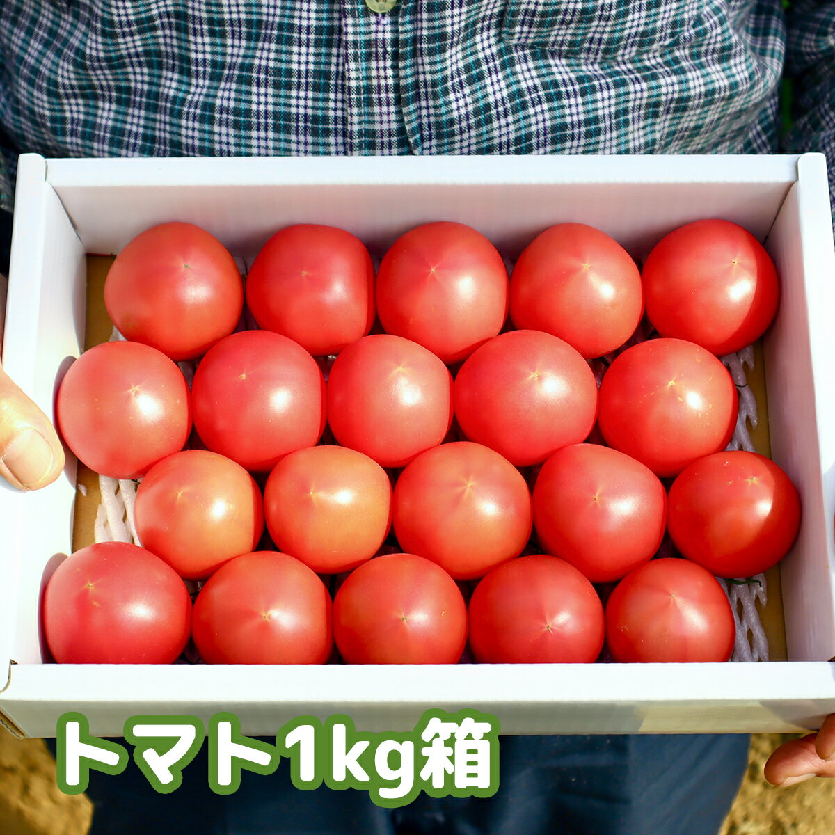 【ふるさと納税】まっことうまい！水田さんのフルーツトマト約1kg×1箱 ・約1kg×2箱 化粧箱入 取り寄せ おすすめ 美味しい こだわり 特産品 産地直送 送料無料 高糖度 完熟 ギフト 通販 高知 旬 糖度 品種 - 画像2