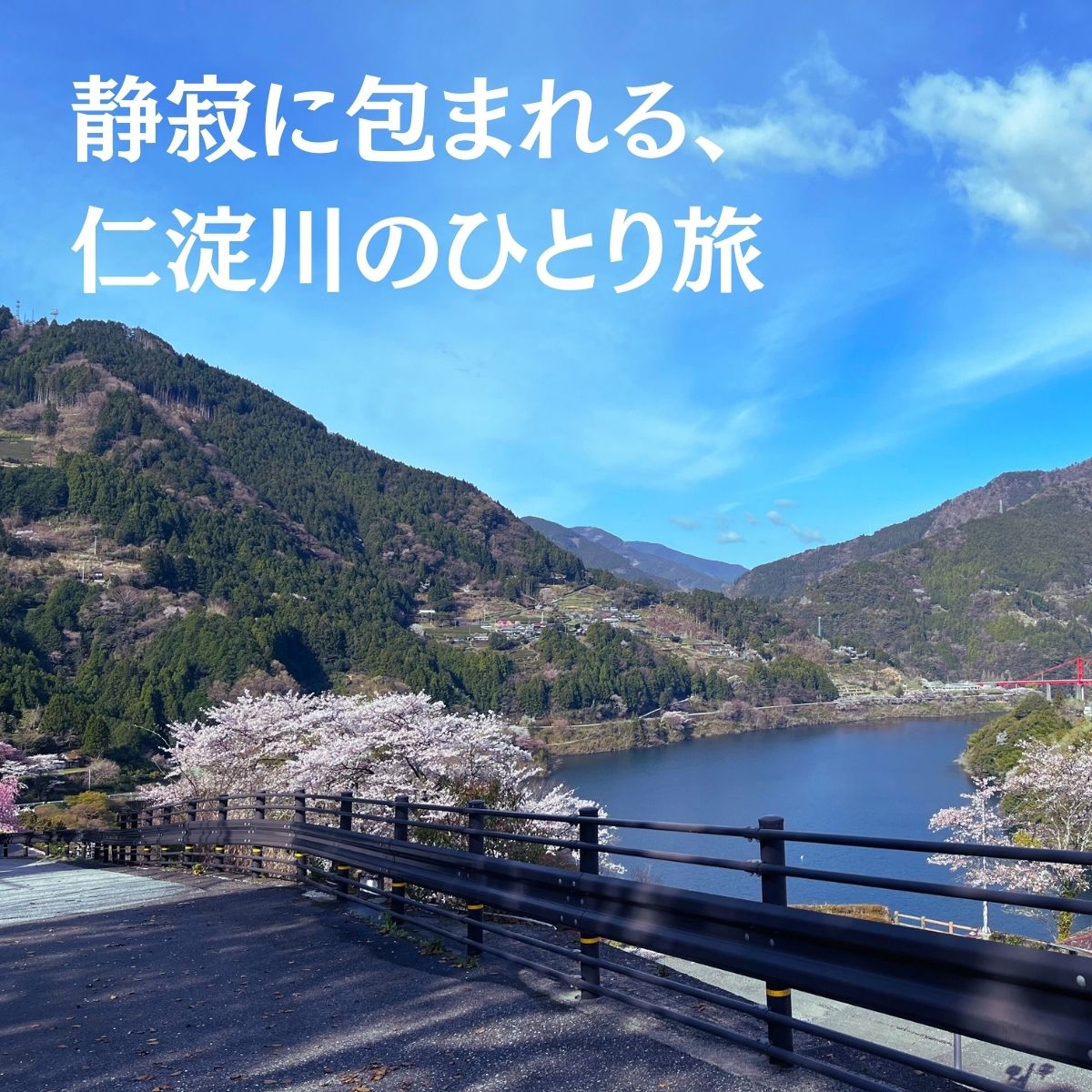 秋葉の宿 ペア1泊2食付きプラン 食事 四国 宿泊券 高知 宿泊 ペア 仁淀川町