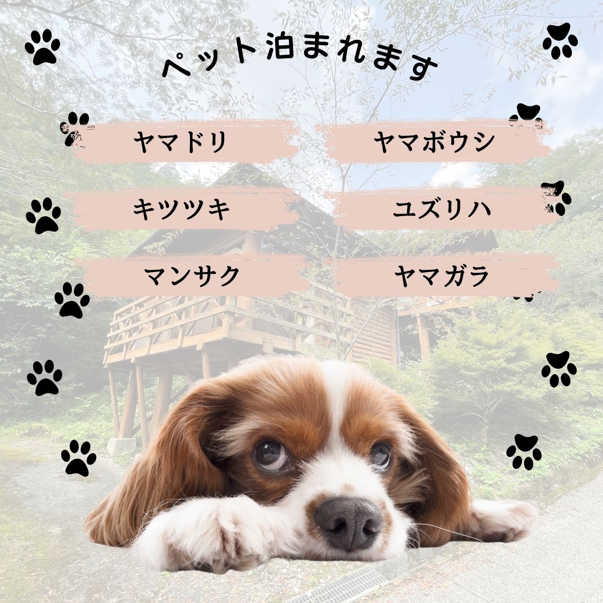 【ふるさと納税】宝来荘ひとり旅　宝来荘1泊2食付き(1名様)（お部屋タイプ：バンガロー） バンガロー 宿 ペット 犬 猫 旅行 記念日 誕生日 温泉 紅葉 桜 星空 宿泊券 旅行券 食事 四国 高知 レストラン ふるさと 仁淀川 サムネイル3