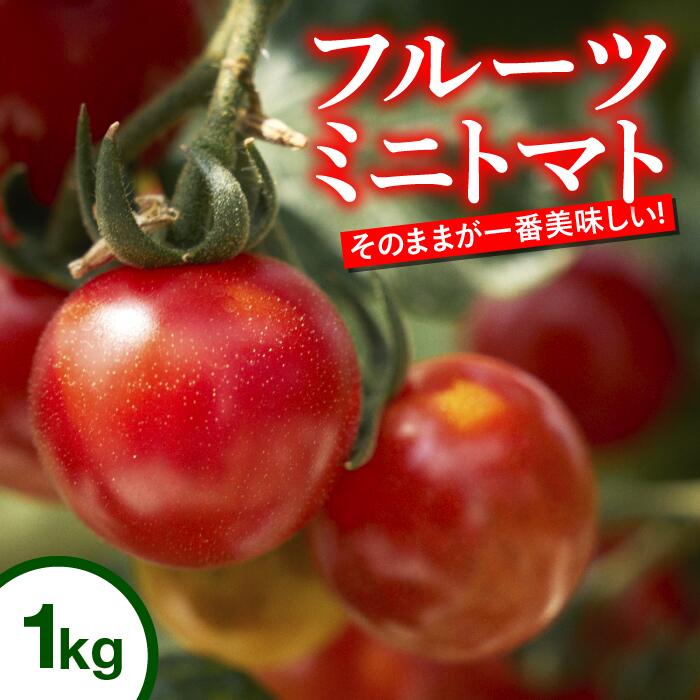 トマト 高知 フルーツトマト ミニ 1kg 完熟 甘い 濃厚 野菜 人気 ふるーつとまと 甘い 濃厚 美味しい 箱詰め 糖度 高知 四万十川 まちだ農園 高糖度 定期便 ギフト おやつ プチ お弁当 季節限定