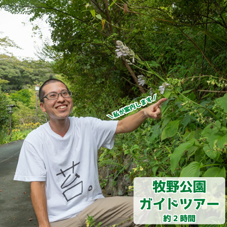 ＜牧野公園ガイドツアー 2時間コース 牧野富太郎ゆかりの植物 案内 説明 10名以下 プライベートツアー 山野草 植物 草木 コケオ＞高知県 佐川町 朝ドラ らんまん 花めぐり 散策