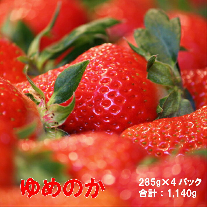 【ふるさと納税】＜フルーツ 定期便（全2回）＞ いちご 梨 fruit 苺 おすすめ フレッシュ 旬 果物 くだもの 高知県 佐川町産【常温】【冷蔵】 サムネイル2