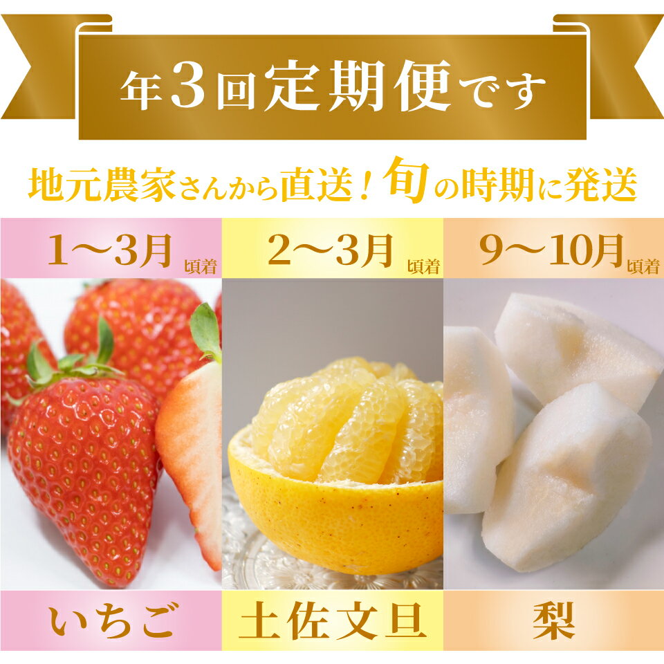 【ふるさと納税】＜フルーツ 定期便（全3回）＞ いちご 土佐文旦 梨 fruit 苺 おすすめ フレッシュ 旬 果物 くだもの 高知県 佐川町産【常温】【冷蔵】 サムネイル2