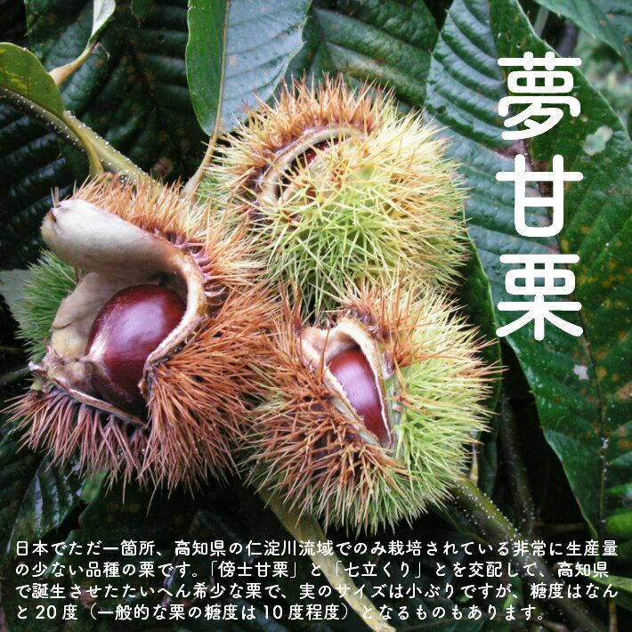 【ふるさと納税】＜夢甘栗ようかん3本（大納言小豆・夢甘栗2本／芋・夢甘栗1本）【計3本】＞高知県　佐川町　くり蔵　羊羹　和菓子　さつまいも【常温】 - 画像3