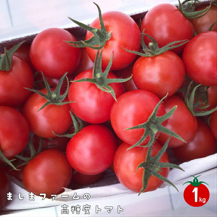 高糖度トマト ＜約1kg＞ フルティカ ミニトマト 中玉トマト アイメック フルーツトマト 秀品 化粧箱入り ギフト 小分けパック おすそ分けパック付【常温】ましまファーム 送料無料 高知県 佐川町　＜2025年12月頃～2026年7月頃発送＞