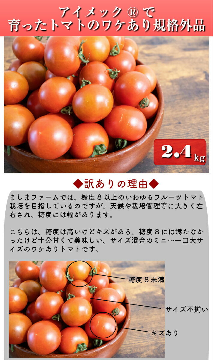 【ふるさと納税】フルティカ トマト ミニトマト フルーツトマト ＜約2.4kg＞【常温】 ワケあり キズあり 規格外品 大容量 自宅用 発送月が選べるアイメック ましまファーム 送料無料 第2回 全国ミニトマト選手権 銅賞 2年連続入賞農園＜2025年12月～2026年8月頃発送＞ サムネイル3