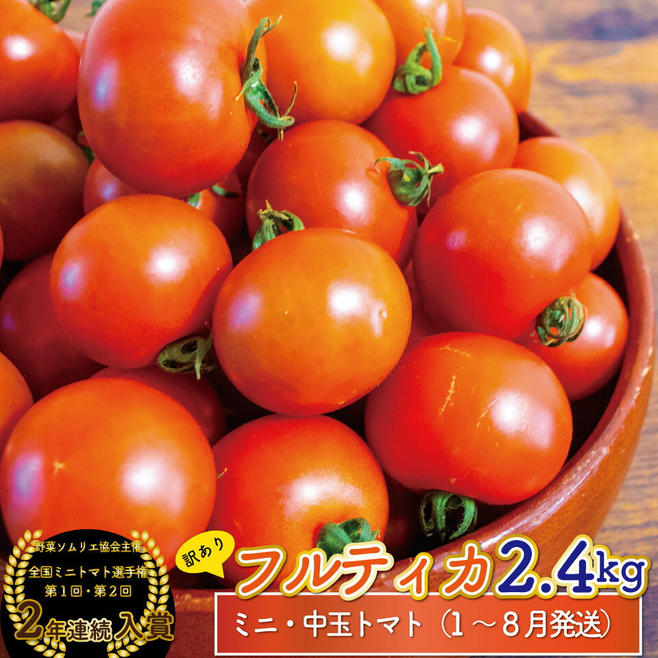 フルティカ トマト ミニトマト フルーツトマト ＜約2.4kg＞【常温】 ワケあり キズあり 規格外品 大容量 自宅用 発送月が選べるアイメック ましまファーム 送料無料 第2回 全国ミニトマト選手権 銅賞 2年連続入賞農園＜2025年12月～2026年8月頃発送＞
